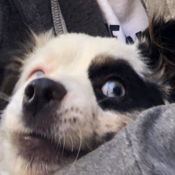 Meet your Posher, Kaitlyn - Picture 1 of 1